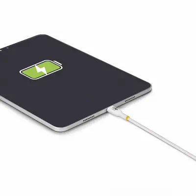 StarTech Câble de Charge USB-C de 2m, Charge et - Câble USB - visuel 7