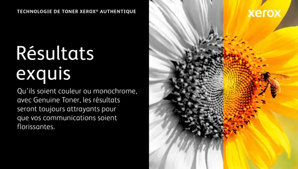 Cartouche de toner Jaune de Capacité standard Xerox Imprimante couleur Xerox® C320​/​multifonctions  - Toner - visuel 8