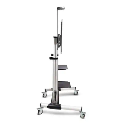 Support TV à Roulettes pour Écrans Plats de 60 à 100 pouces jusqu'à 100 kg, Réglage en Hauteur par M - StarTech - Accessoire Vidéoprojecteur - visuel 5