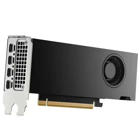 HP NVIDIA RTX PH x2xxx 4mDP Graphics - Carte graphique - visuel 6