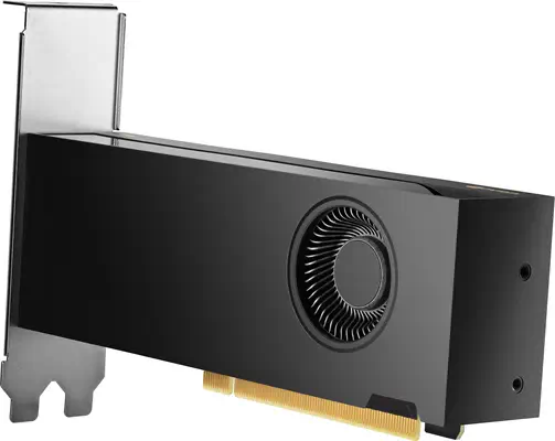 HP NVIDIA RTX PH x2xxx 4mDP Graphics HP - visuel 1 - hello RSE - Options de sortie polyvalentes