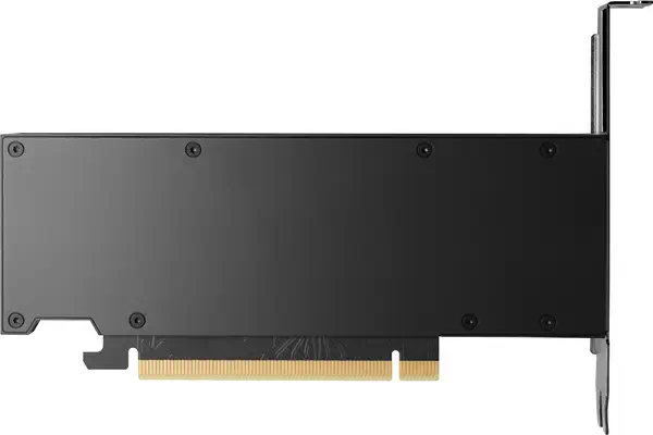 HP NVIDIA RTX PH x2xxx 4mDP Graphics - Carte graphique - visuel 5