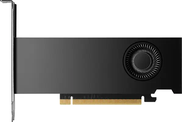 HP NVIDIA RTX PH x2xxx 4mDP Graphics - Carte graphique - visuel 1