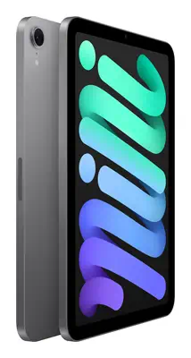 Apple iPad mini 256 Go 21,1 cm (8.3") Wi-Fi 6E (802.11ax) iPadOS 18 Gris - Tablette Android - visuel 9