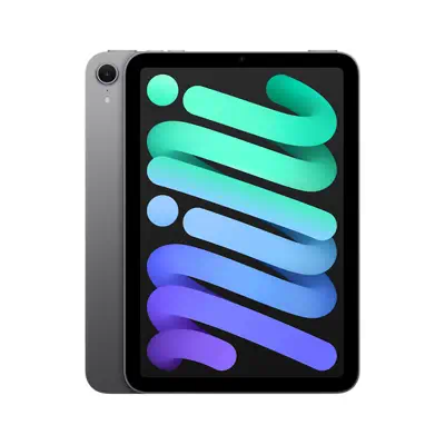 Apple iPad mini 512 Go 21,1 cm (8.3") Wi-Fi 6E (802.11ax) iPadOS 18 Gris - Tablette Android - visuel 2
