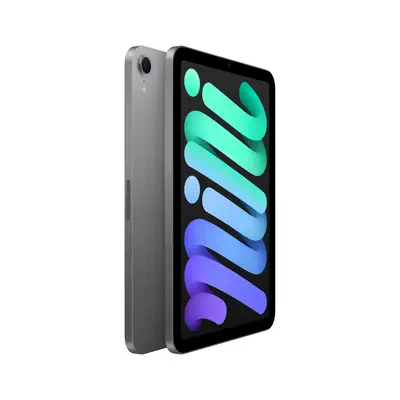 Apple iPad mini 512 Go 21,1 cm (8.3") Wi-Fi 6E (802.11ax) iPadOS 18 Gris - Tablette Android - visuel 3