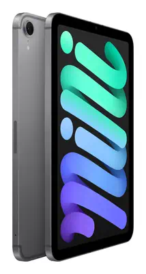 Apple iPad mini 5G TD-LTE & FDD-LTE 128 Go 21,1 cm (8.3") Wi-Fi 6E (802.11ax) iPadOS 18 Gris - Tablette Android - visuel 9