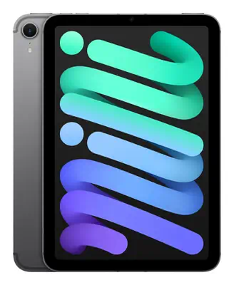 Apple iPad mini 5G TD-LTE & FDD-LTE 128 Go 21,1 cm (8.3") Wi-Fi 6E (802.11ax) iPadOS 18 Gris - Tablette Android - visuel 8