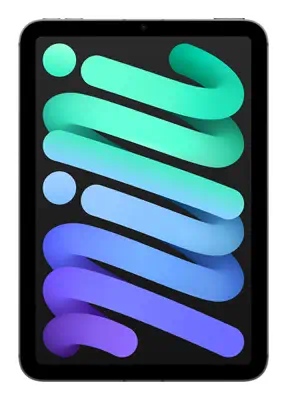 Apple iPad mini 5G TD-LTE & FDD-LTE 256 Go 21,1 cm (8.3") Wi-Fi 6E (802.11ax) iPadOS 18 Gris - Tablette Android - visuel 7