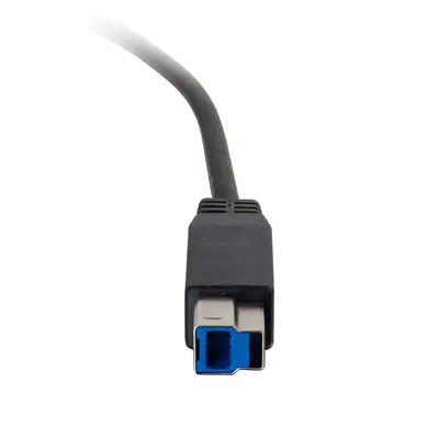 C2G 10ft, USB 3.0 Type C, USB B  - Câble USB - visuel 5
