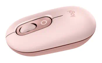 Souris  4 achat responsable