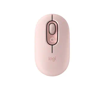 Avis Souris  4