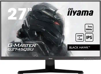 Meilleur prix Ecran Ordinateur G-Master LED