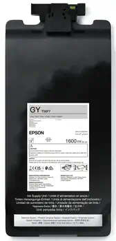 C13T56F700 achat responsable