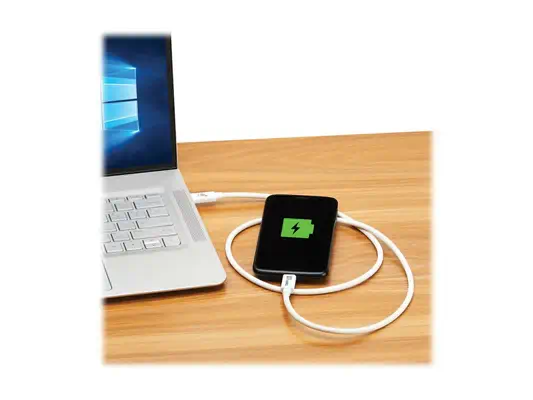 EATON TRIPPLITE series USB4 40Gbps Cable M/M USB-C - Eaton - Câble USB - visuel 3