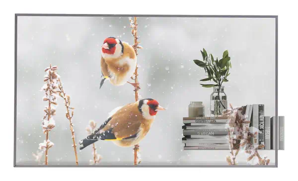 LG 55EW5P-M Écran d'affichage dynamique 139,7 cm (55") OLED 600 cd/m² Full HD Argent Écran tactile 1 - Ecran TV - visuel 1