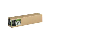 Avantages Epson C13S450271NQ papier rouleau 15 m 61 cm