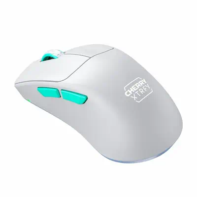CHERRY XTRFY M64 Wireless - Souris - visuel 4
