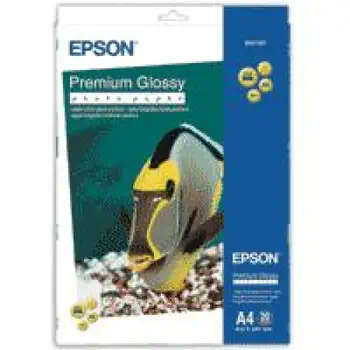 Avantages Papier Epson C13S041287