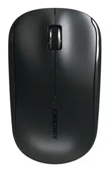 Livraison gratuite Souris CHERRY JW-T2200-2
