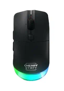 Avis Souris 5