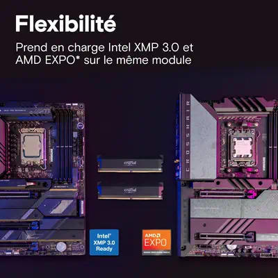 Crucial Pro CP2K32G64C40U5B module de mémoire 64 Go 2 x 32 Go DDR5 - Mémoire - visuel 4