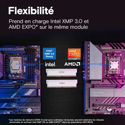 Crucial Pro CP2K32G60C40U5W module de mémoire 64 Go 2 x 32 Go DDR5 - Mémoire - visuel 4