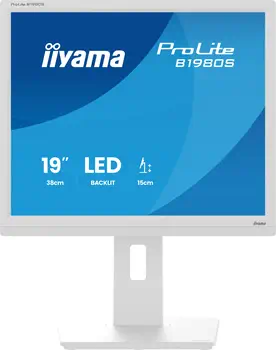 Livraison rapide Ecran Ordinateur ProLite 19"