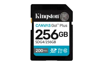 Carte Mémoire Kingston SDG4/256GB livraison gratuite