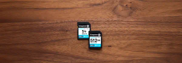 512 Go SDXC Canvas Go Plus Gen4 200 Mo/s C10 UHS-I U3 V30 - Kingston - Carte Mémoire - visuel 6