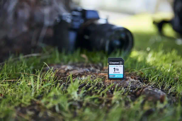 1 To SDXC Canvas Go Plus Gen4 200 Mo/s C10 UHS-I U3 V30 - Kingston - Carte Mémoire - visuel 5