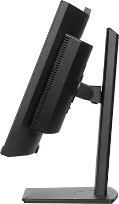 iiyama ProLite XCB3497WQSNPH-B1 écran plat de PC 86,4 cm (34") 3440 x 1440 pixels UltraWide Quad HD  - Ecran Ordinateur - visuel 5