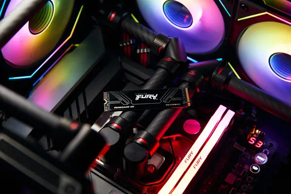 1T FURY RENEGADE G5 M.2 2280 NVMe SSD - Kingston - Disque dur SSD - visuel 8