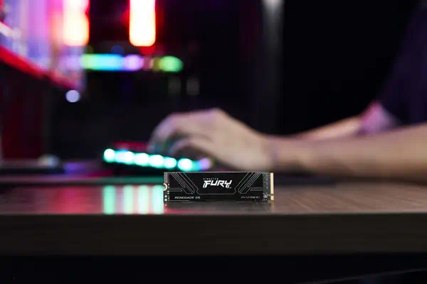1T FURY RENEGADE G5 M.2 2280 NVMe SSD - Kingston - Disque dur SSD - visuel 9