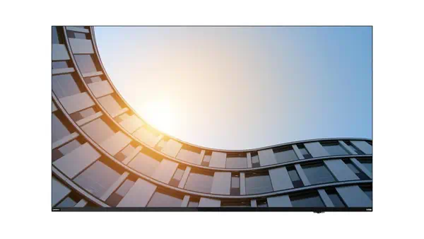 Lenovo ThinkVision E65 LFD écran plat de PC 163,8 cm (64.5") 3840 x 2160 pixels 4K Ultra HD LCD Noir - Ecran Numérique Interactif - visuel 1