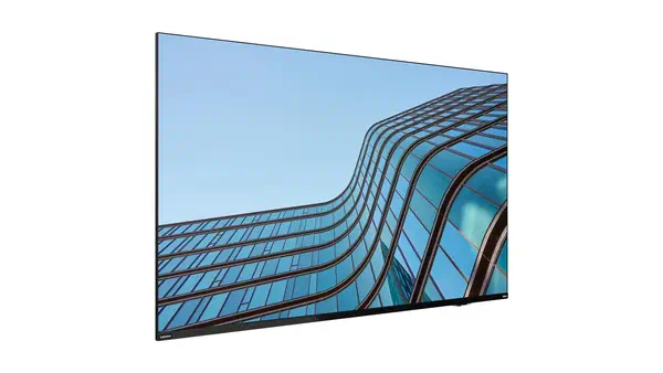 Lenovo ThinkVision E55 LFD écran plat de PC 138,7 cm (54.6") 3840 x 2160 pixels 4K Ultra HD IPS Noir - Ecran Numérique Interactif - visuel 2