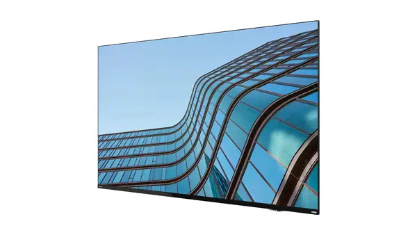 Lenovo ThinkVision E55 LFD écran plat de PC 138,7 cm (54.6") 3840 x 2160 pixels 4K Ultra HD IPS Noir - Ecran Numérique Interactif - visuel 3