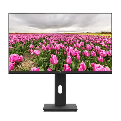 V7 Moniteur IPS 23.8 po FHD 1920 x 1080 - Ecran Ordinateur - visuel 1