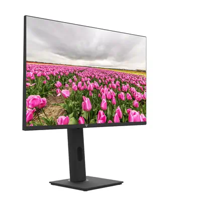 V7 Moniteur IPS 23.8 po FHD 1920 x 1080 - Ecran Ordinateur - visuel 4