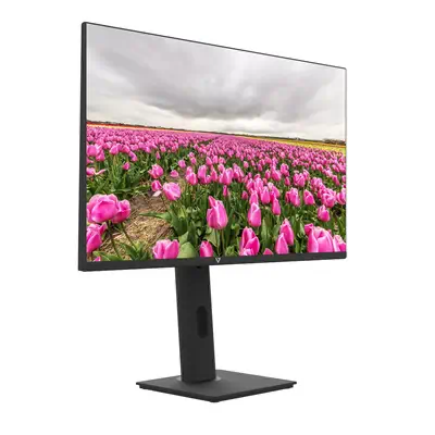 V7 Moniteur IPS 23.8 po FHD 1920 x 1080 - Ecran Ordinateur - visuel 3