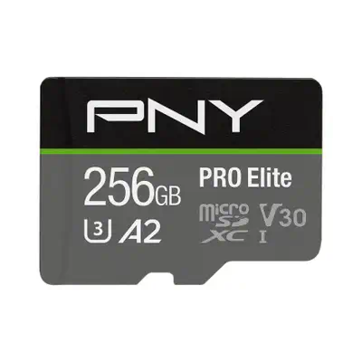P-SDU256V32100PRO-GE - PNY - Carte Mémoire - visuel 1