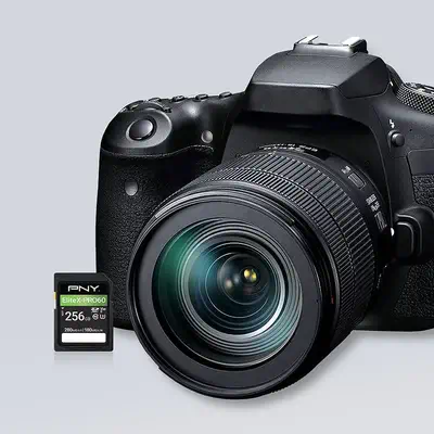 PNY EliteX-PRO60 256 Go SDXC UHS-II Classe 10 - Carte Mémoire - visuel 3