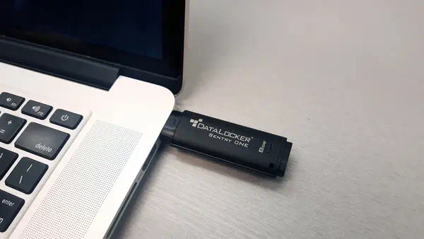 DataLocker Sentry One Managed lecteur USB flash 32 Go USB Type-A 3.2 Gen 1 (3.1 Gen 1) Noir - Clé USB - visuel 4