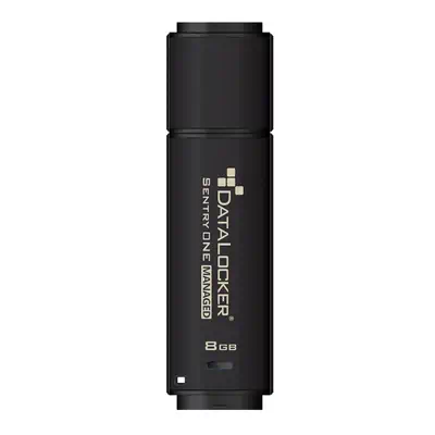 DataLocker Sentry One Managed lecteur USB flash 32 Go USB Type-A 3.2 Gen 1 (3.1 Gen 1) Noir - Clé USB - visuel 1