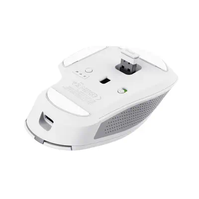 Trust Ozaa+ souris Bureau Droitier RF sans fil Trust - visuel 1 - hello RSE - Matériaux durables