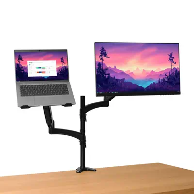 Trust Mara 81,3 cm (32") Bureau Noir - Accessoire ENI, TBI et VPI - visuel 3