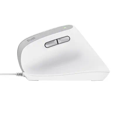 Trust Bayo II souris Bureau Droitier USB Type-A Optique 2400 DPI - Souris - visuel 5