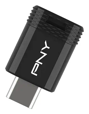PNY Elite-X lecteur USB flash 256 Go USB Type-C 3.2 Gen 1 (3.1 Gen 1) Noir - Carte Mémoire - visuel 7