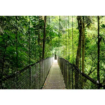 EliteBook 6 G1i AI PC Wolf Pro Security Edition - HP - PC Portable - visuel 9