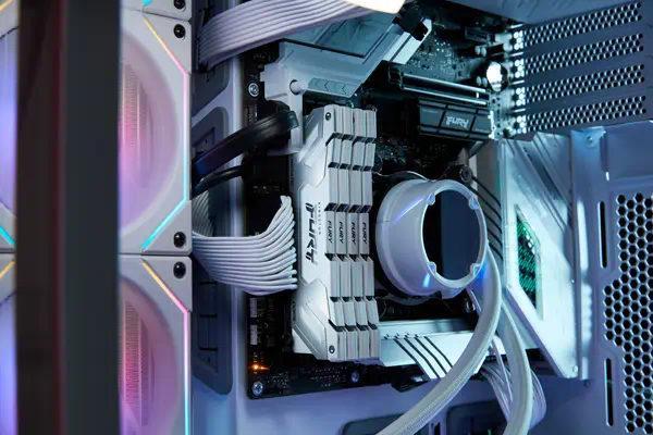 24 Go 8800 MT/s DDR5 CL42 CUDIMM FURY Renegade White - Kingston - Mémoire - visuel 6